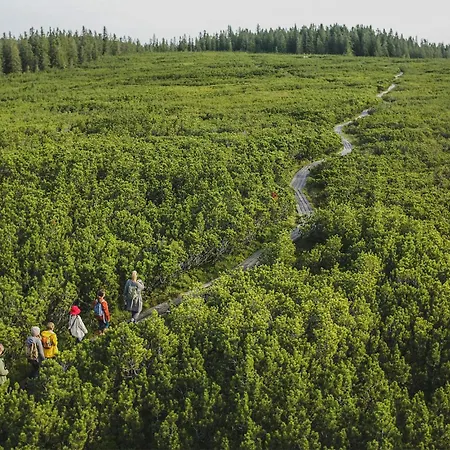 Daire Awesome In Pohorje