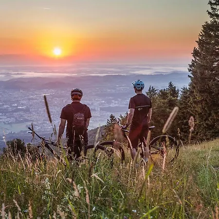 Awesome In Pohorje Daire Hočko Pohorje