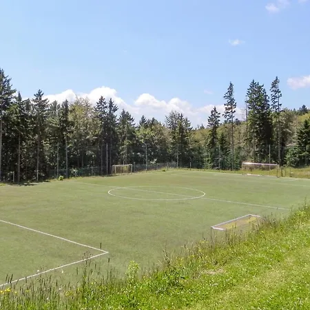 Gorgeous Apartment In Pohorje *