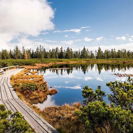 Awesome In Pohorje * Hočko Pohorje