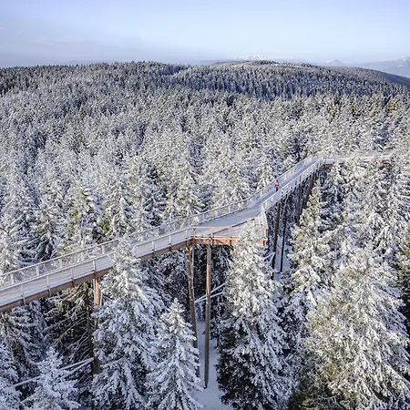 Awesome In Pohorje Hočko Pohorje
