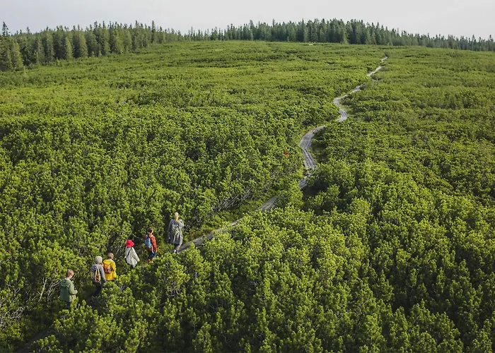 Daire Awesome In Pohorje