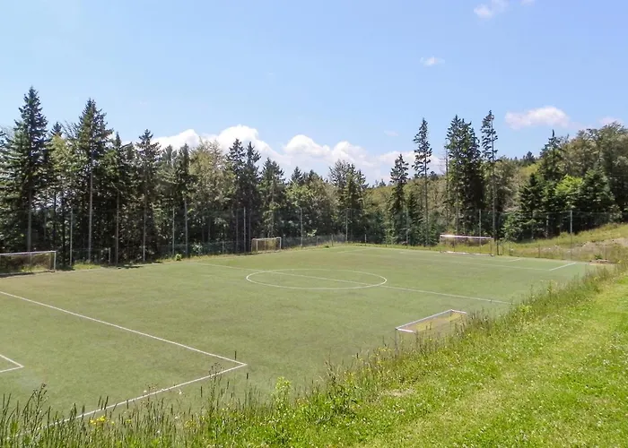 Awesome In Pohorje *