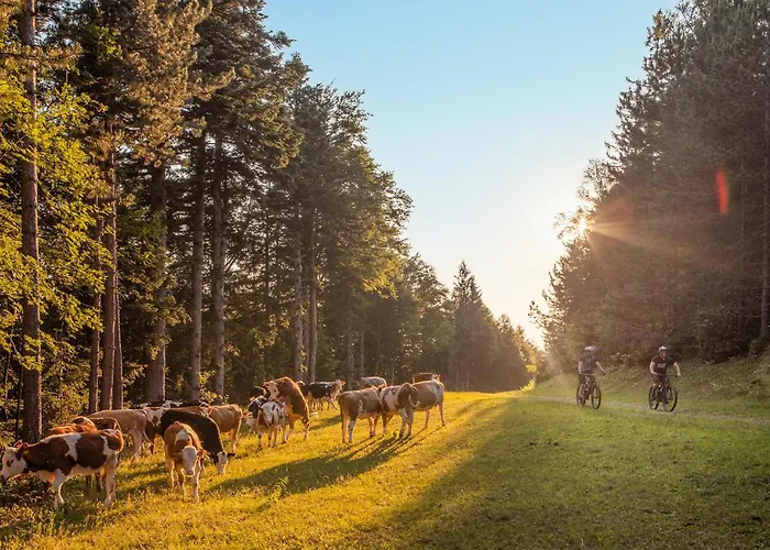 شقة Awesome In Pohorje *