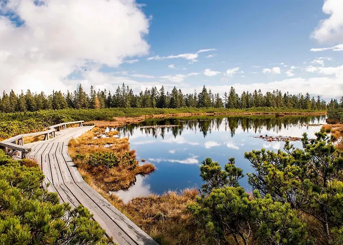 Awesome In Pohorje * Hočko Pohorje