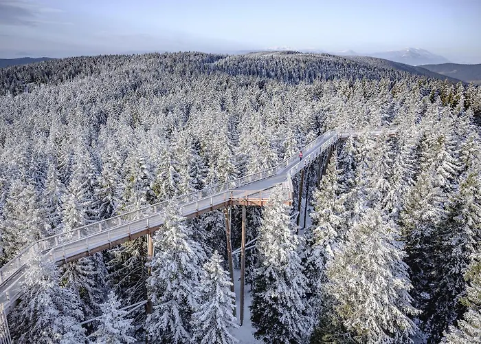 Awesome In Pohorje Hočko Pohorje